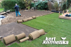 Gyepszőnyegezés Rákoskerten (12)